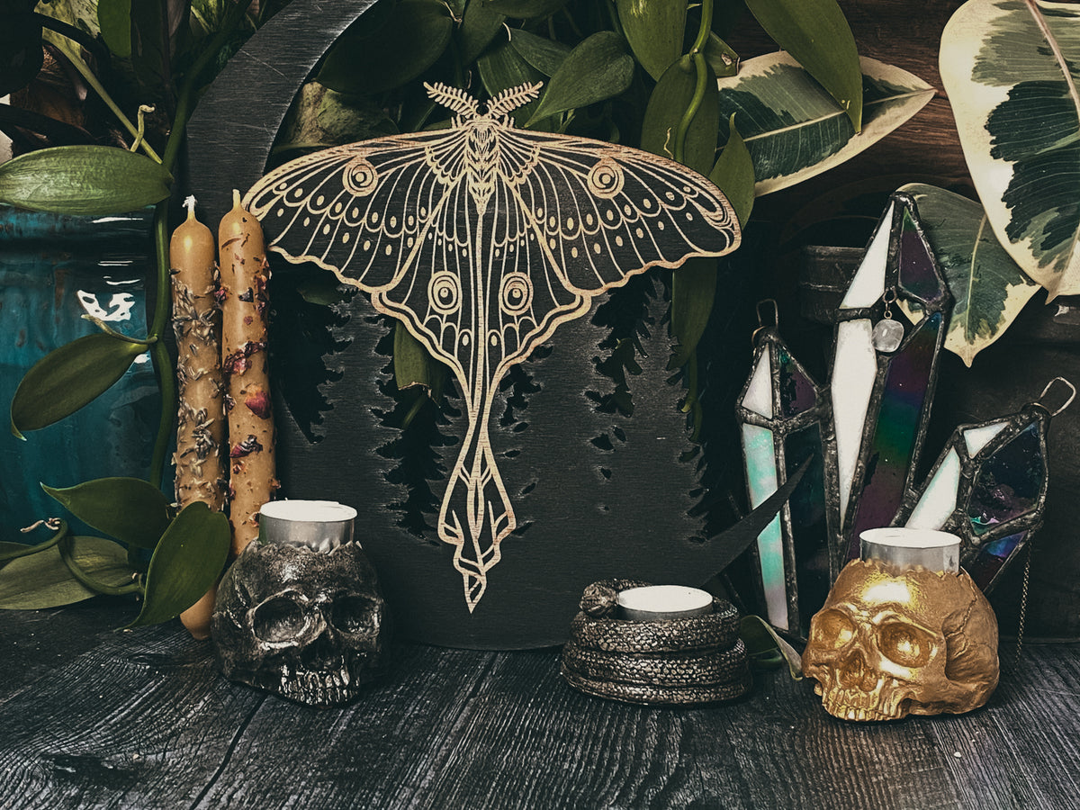 A decorative scene with a large moth illustration, two herb-covered candles, crystal decor, plants, two skull candle holders, and a coiled snake candle holder on a wooden surface.