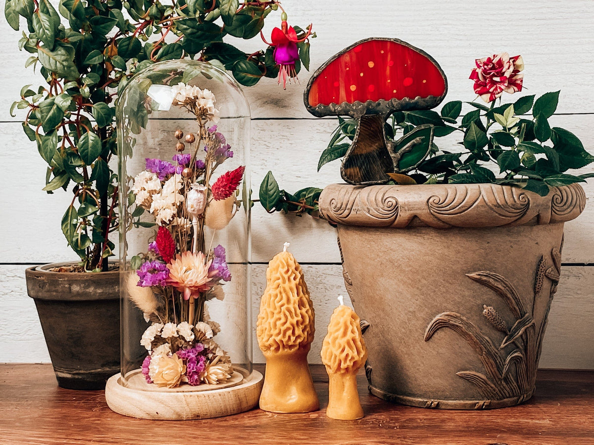 Dried flower cloche, stained glass mushroom planter stake, morel mushroom candles