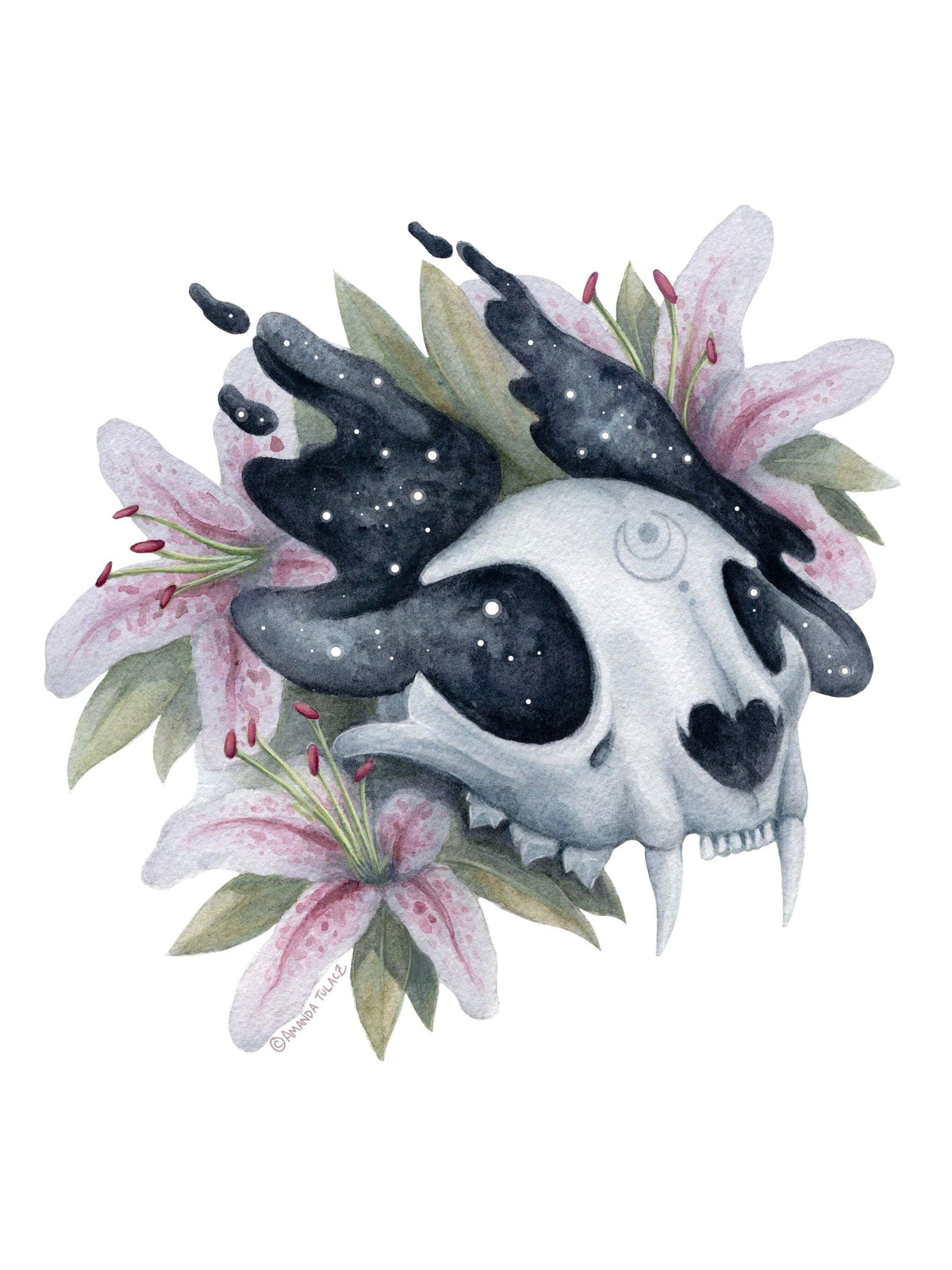 The Luna Art Print by Amanda Tulacz Illustration features a white cat skull with large fangs and smoky black horns, surrounded by pink lilies and green leaves on white, printed on archival 8x8 cardstock for lasting quality.