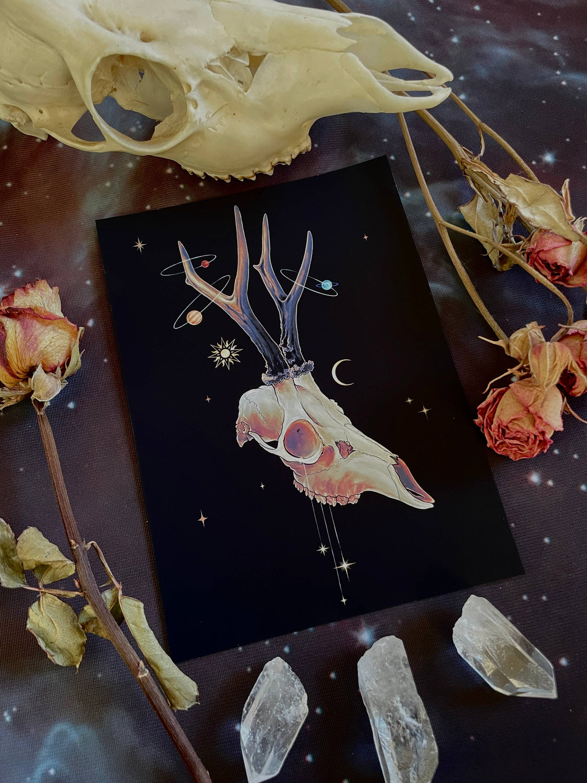 “Lost in Orbit” Art Print (7x5) by Amanda Tulacz Illustration depicts a roe deer skull with planet-adorned antlers, surrounded by dried roses, quartz crystals, and another skull for a cosmic, magical vibe. Printed on archival cardstock.