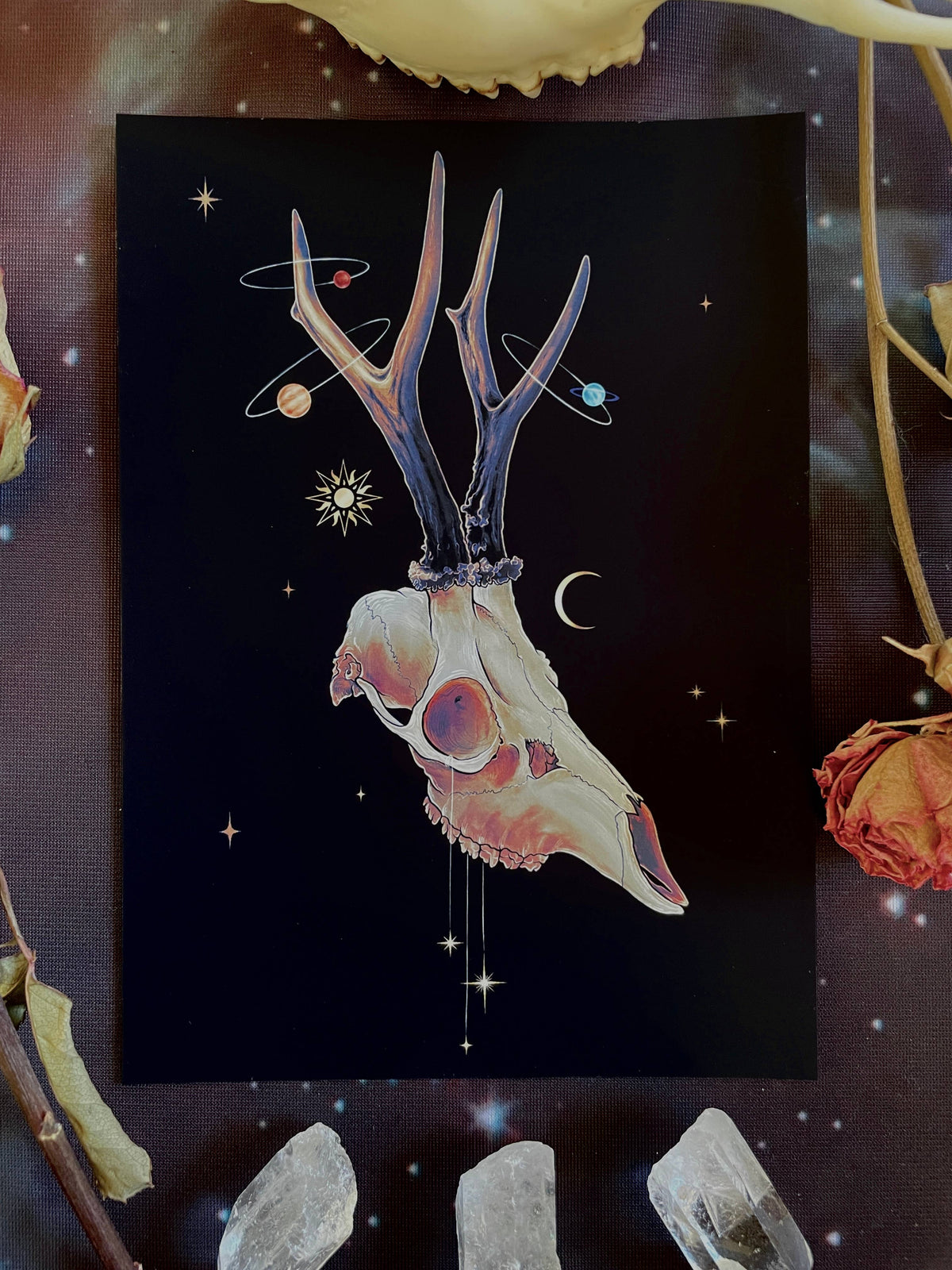 “Lost in Orbit” Art Print (7 x 5) by Amanda Tulacz Illustration features a roe deer skull with antlers amid planets, crescent moon, star, dried roses, and quartz crystals on archival cardstock with a cosmic backdrop.