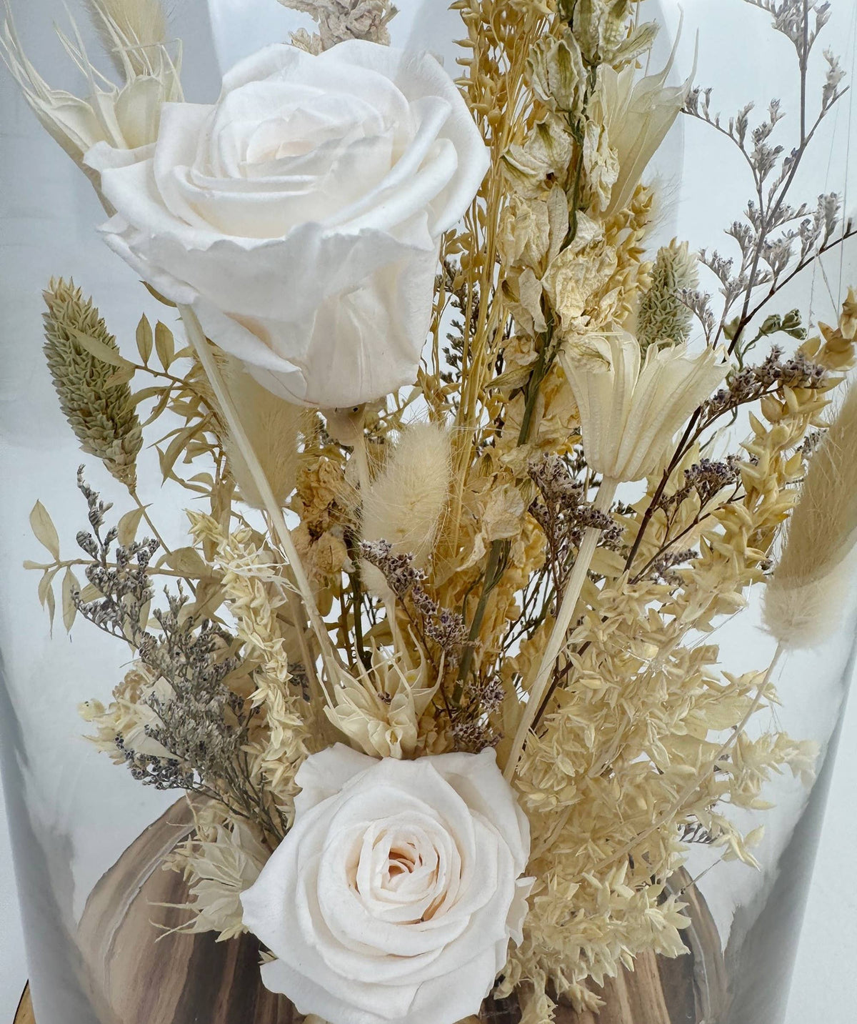Andaluca 15" White Preserved Rose Botanical Cloche