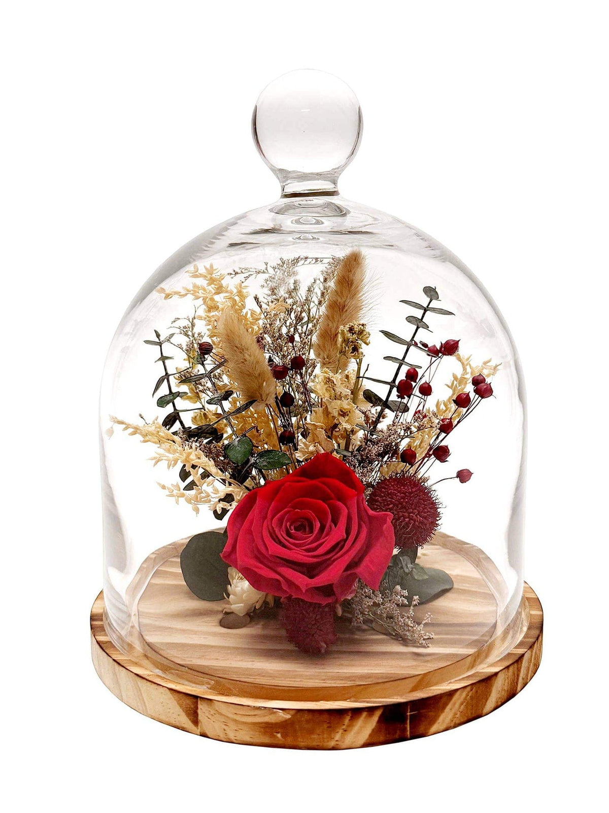 Andaluca Dried flower cloche 10" Red Preserved Rose Botanical Cloche