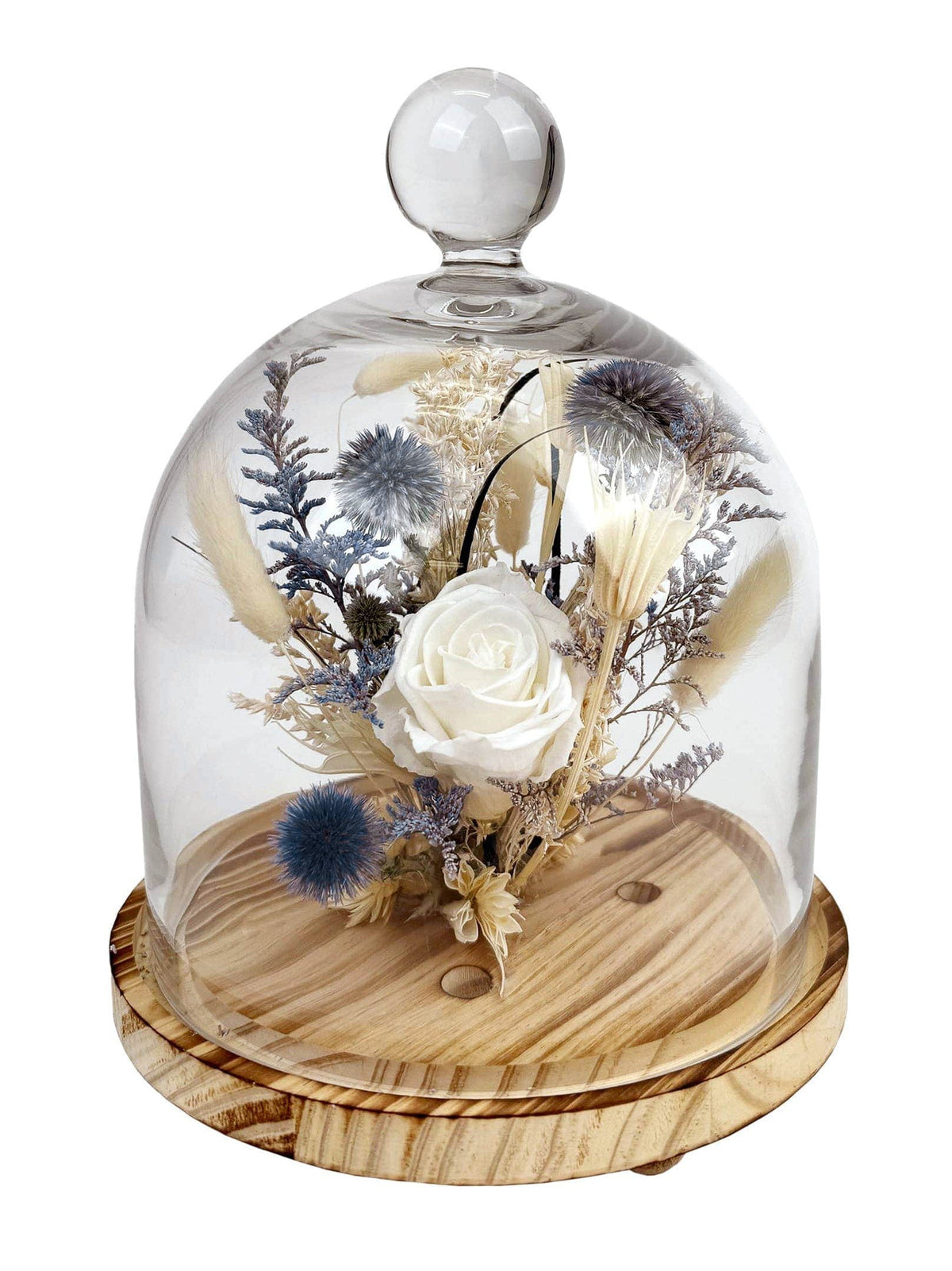 Andaluca Dried flower cloche 10" White Preserved Rose & Echinops Botanical Cloche