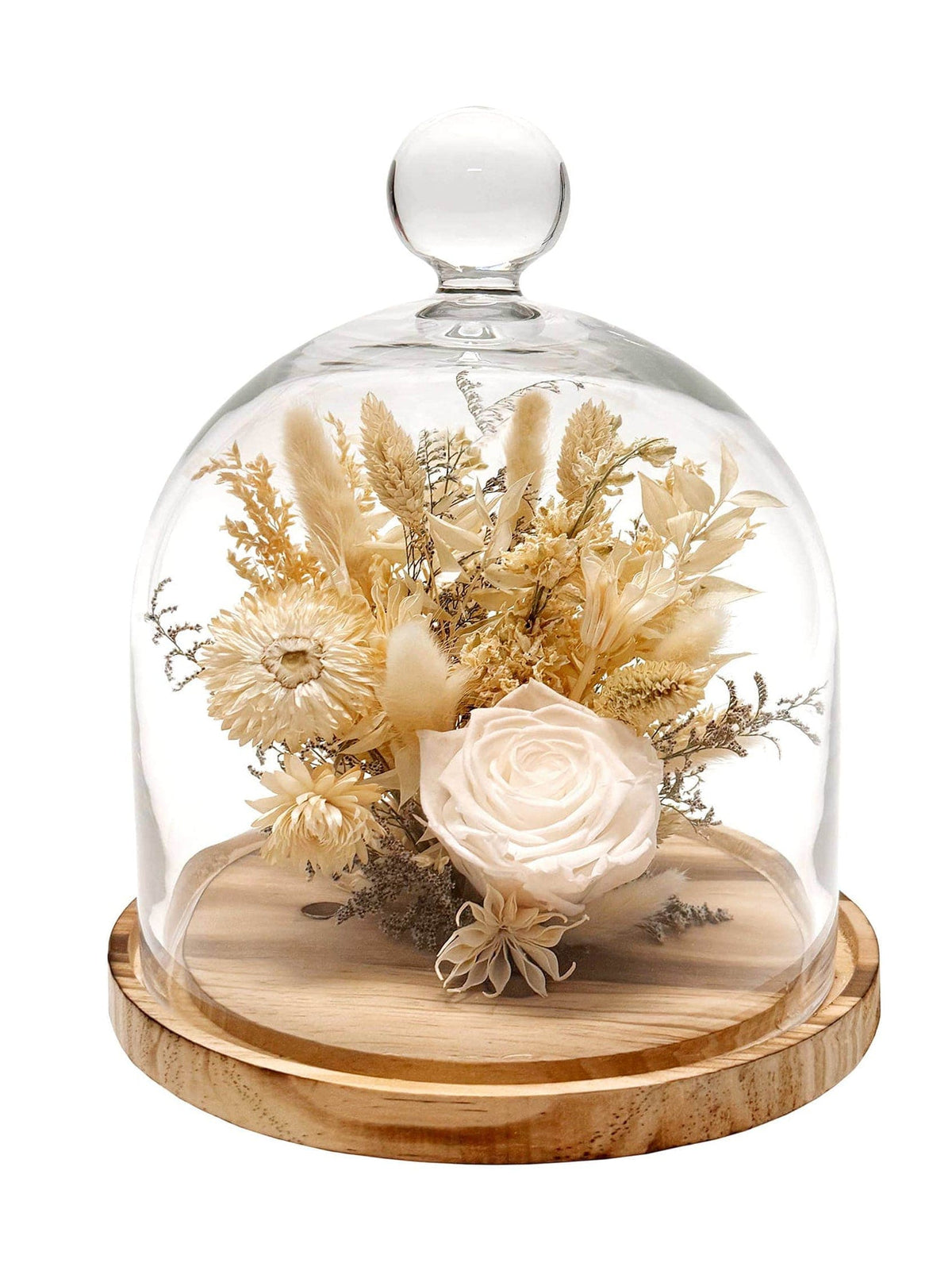 The Andaluca 10 White Preserved Rose & Strawflower Cloche showcases a real preserved rose and strawflowers, elegantly arranged under a clear glass dome with a round wooden base.