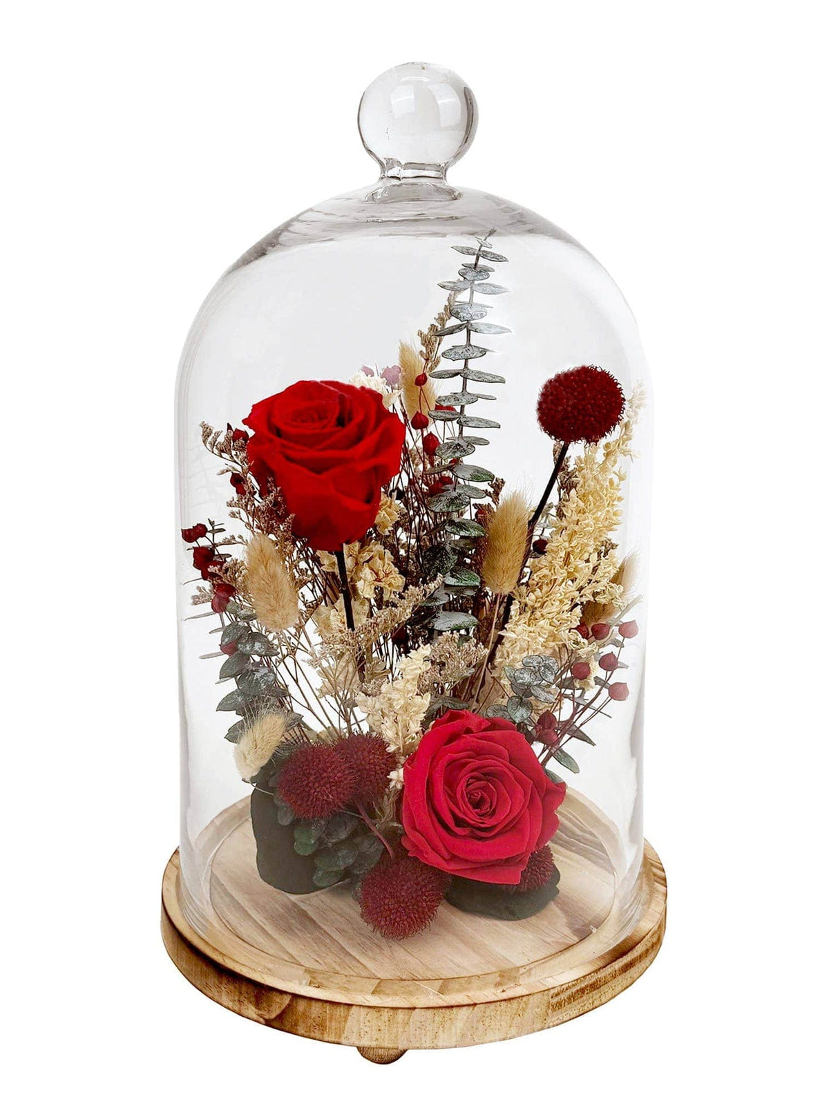The Andaluca 15 Red Preserved Rose Botanical Cloche features real preserved red roses and dried flowers in a clear glass dome with a wooden base, offering a handcrafted, lasting display in red, beige, and green tones.