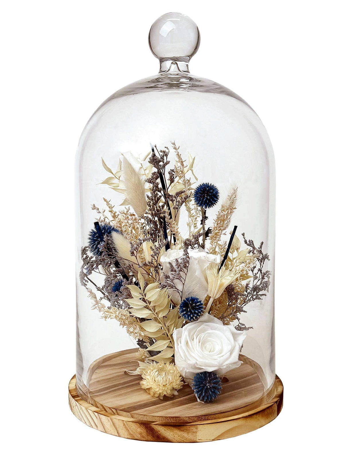 Andaluca Dried flower cloche 15" White Preserved Rose & Echinops Botanical Cloche