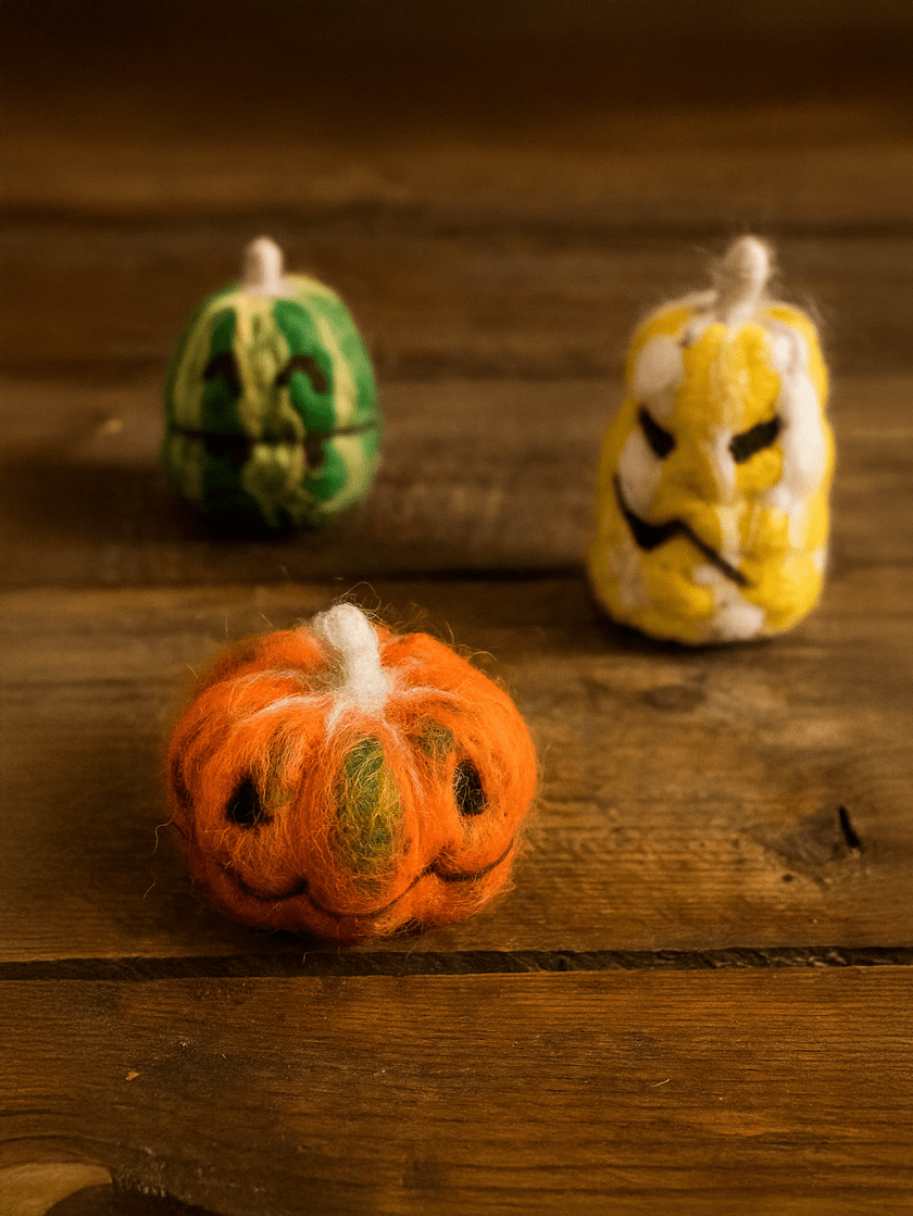 Bergin & Bath Needle Felting Kit Beginner Pumpkins Needle Felting Kit