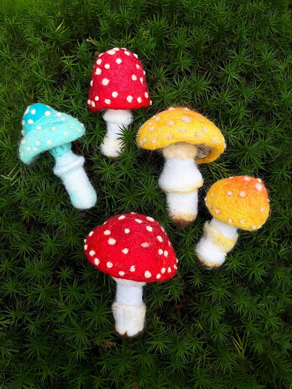 Bergin & Bath Needle Felting Kit Beginner Toadstools Needle Felting Kit
