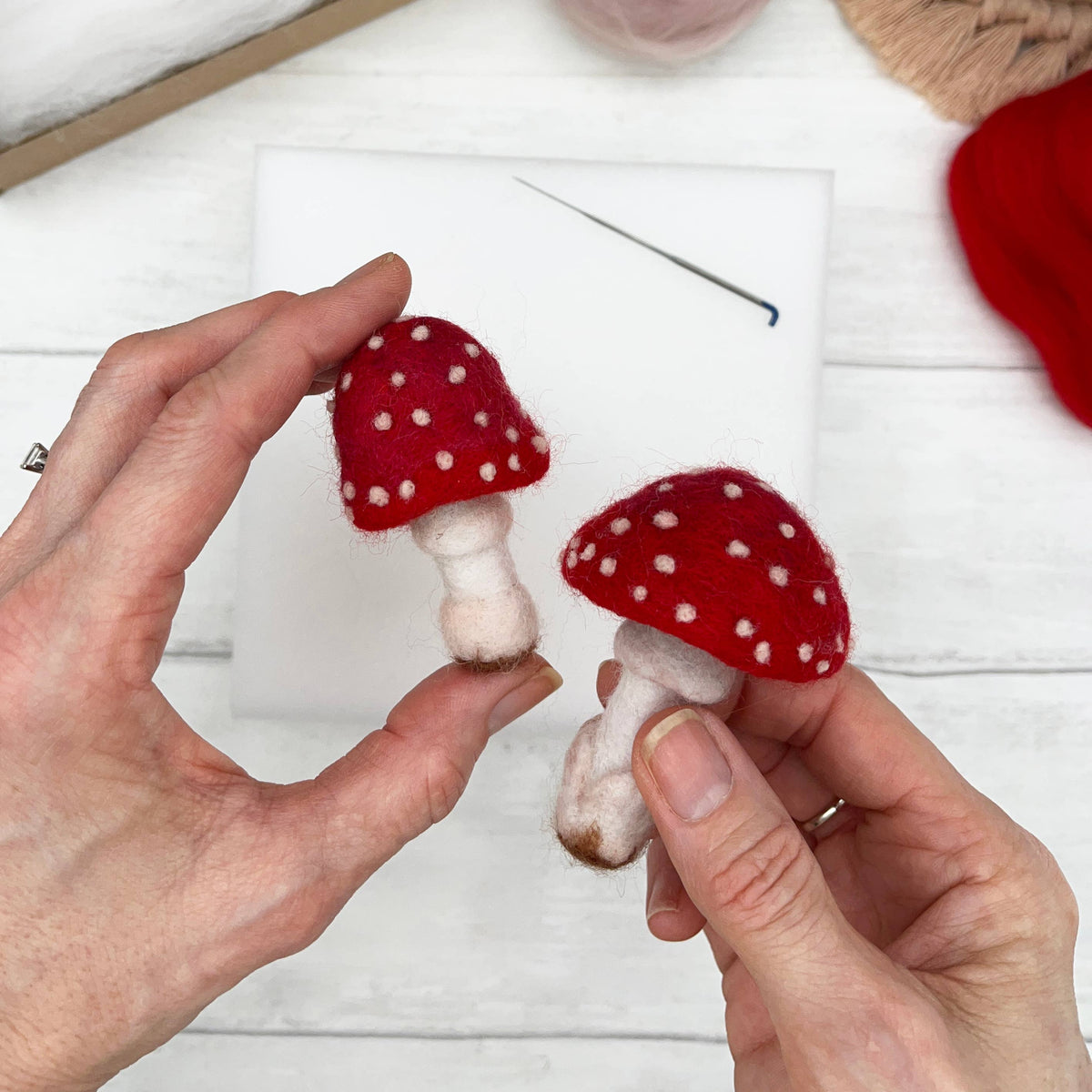 Bergin & Bath Needle Felting Kit, Toadstools