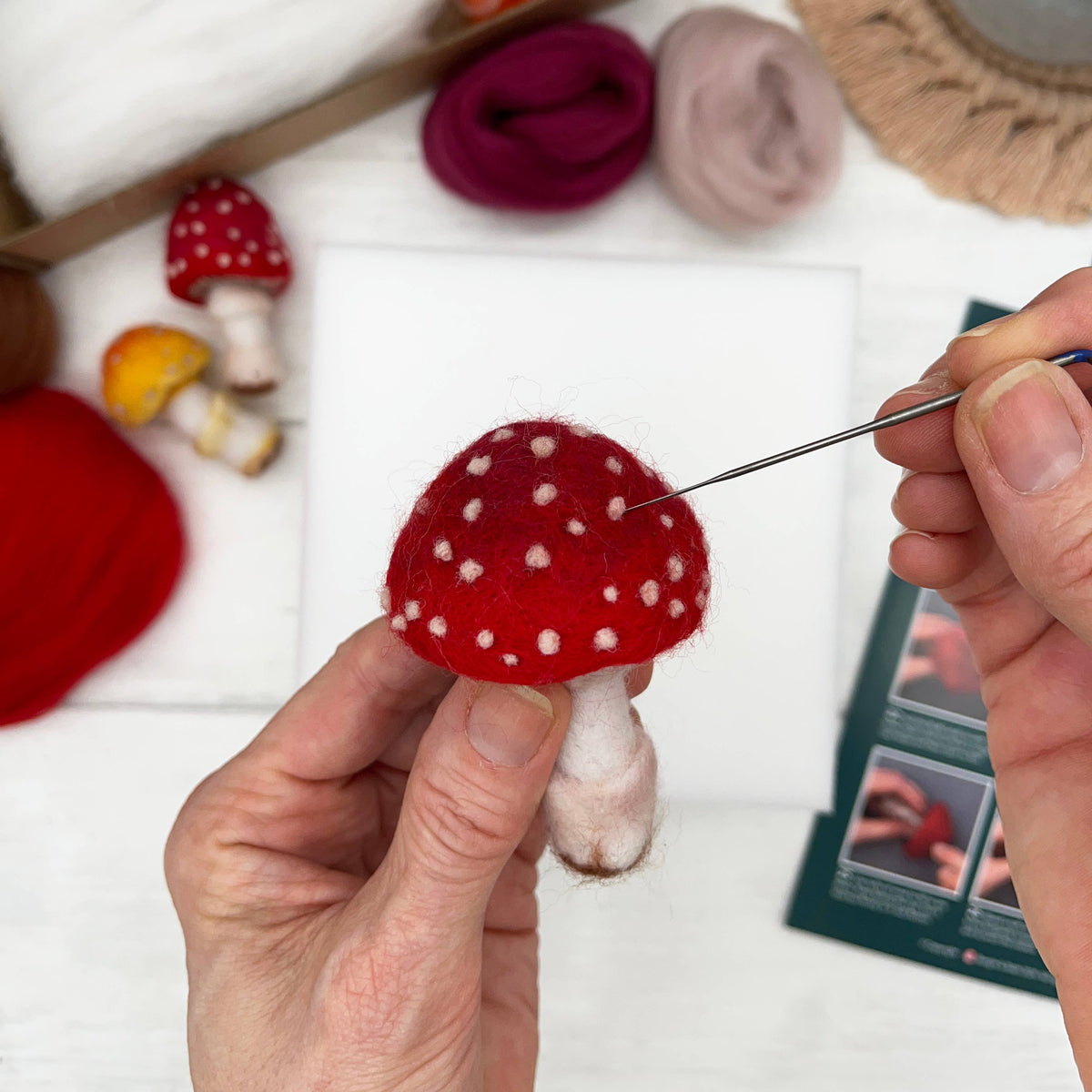 Bergin & Bath Needle Felting Kit, Toadstools