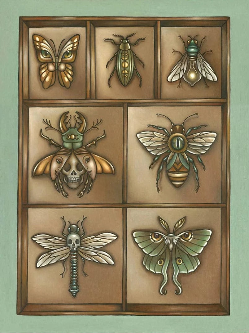 Faina Lorah Giclee Print *Retiring* Insect Collection Art Print, 14" x 11"