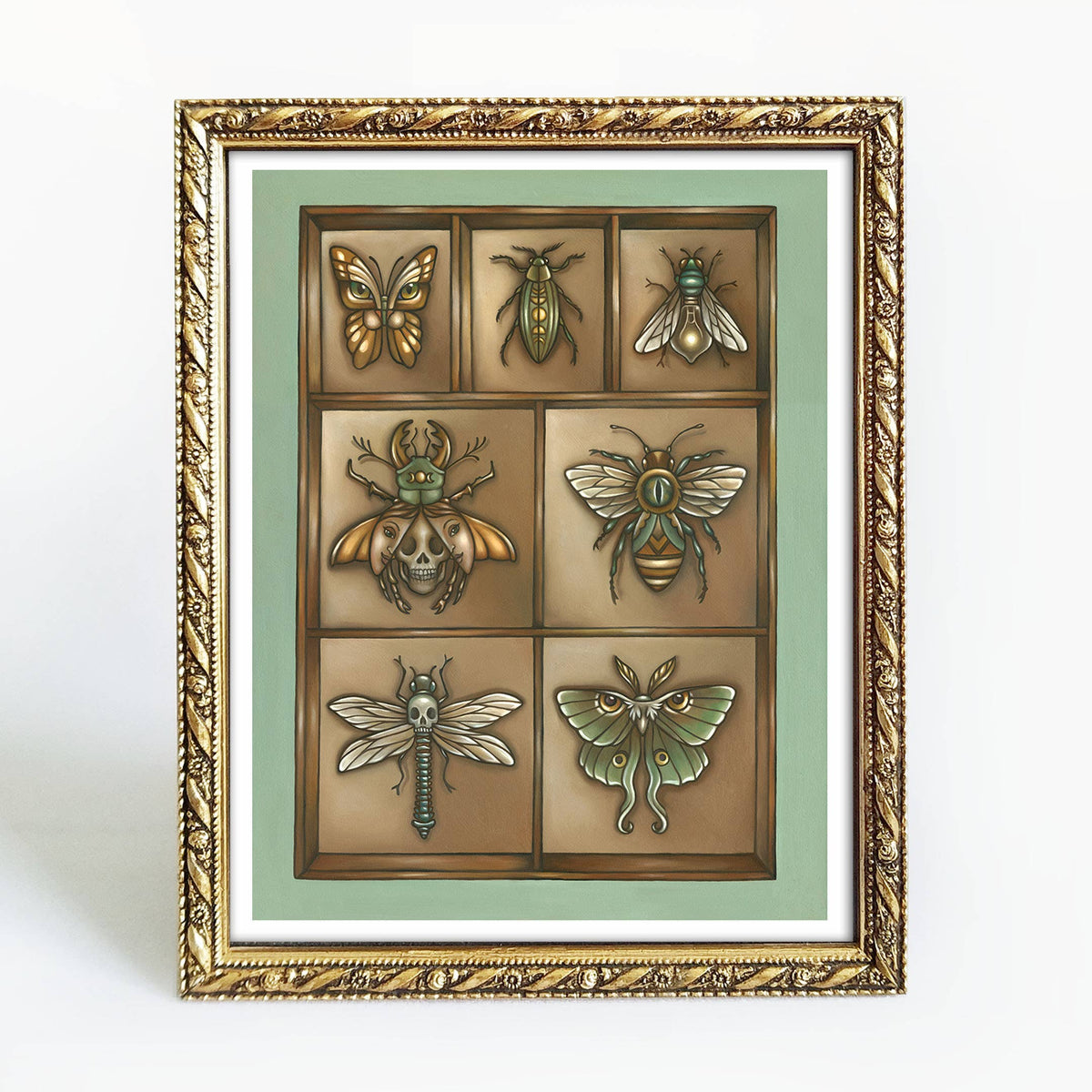 Faina Lorah Insect Collection Art Print