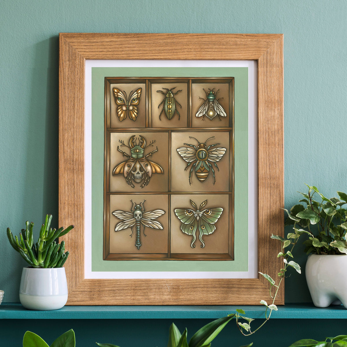 Faina Lorah Insect Collection Art Print