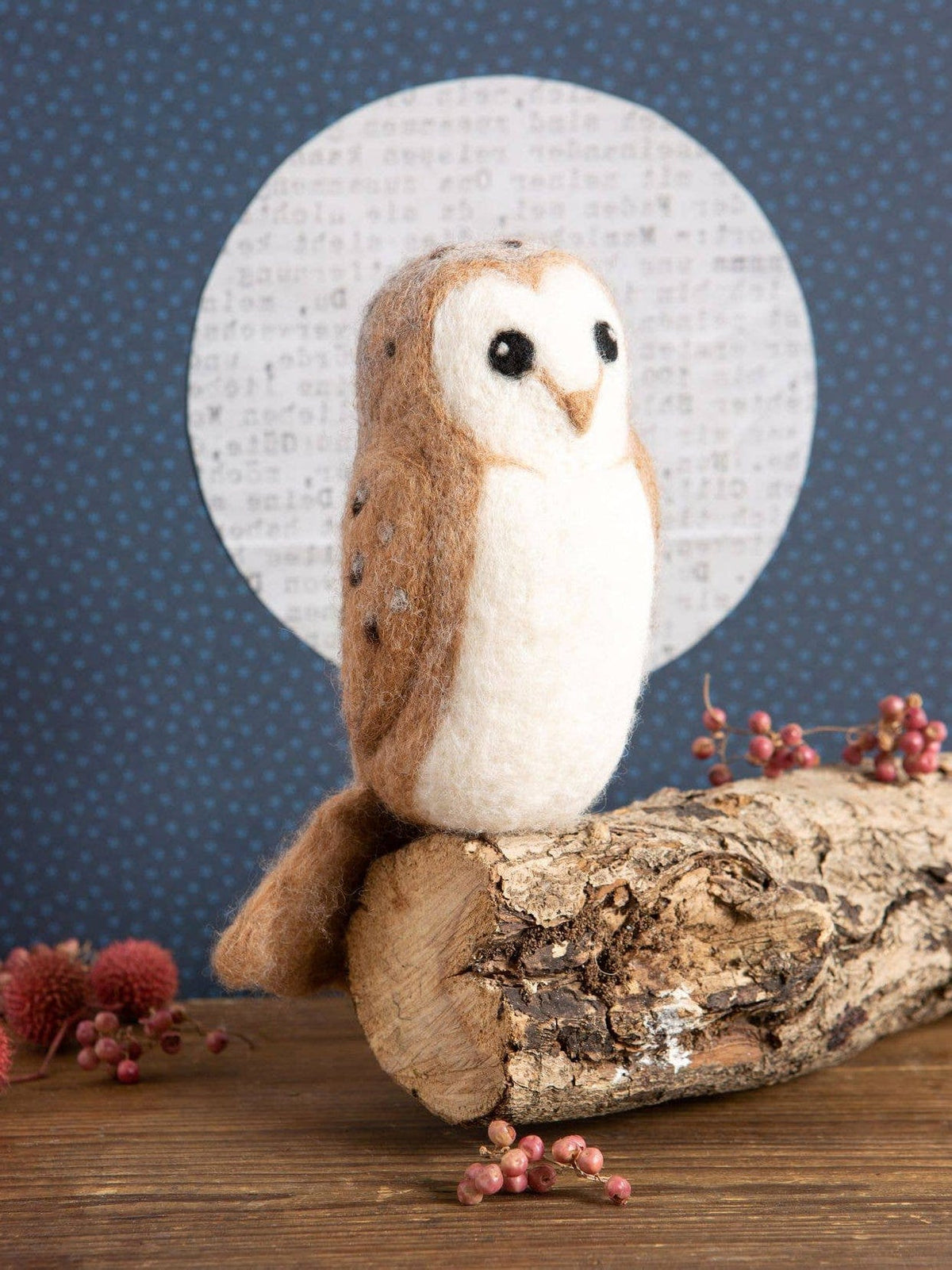 Beginner Barn Owl Needle Felting Kit