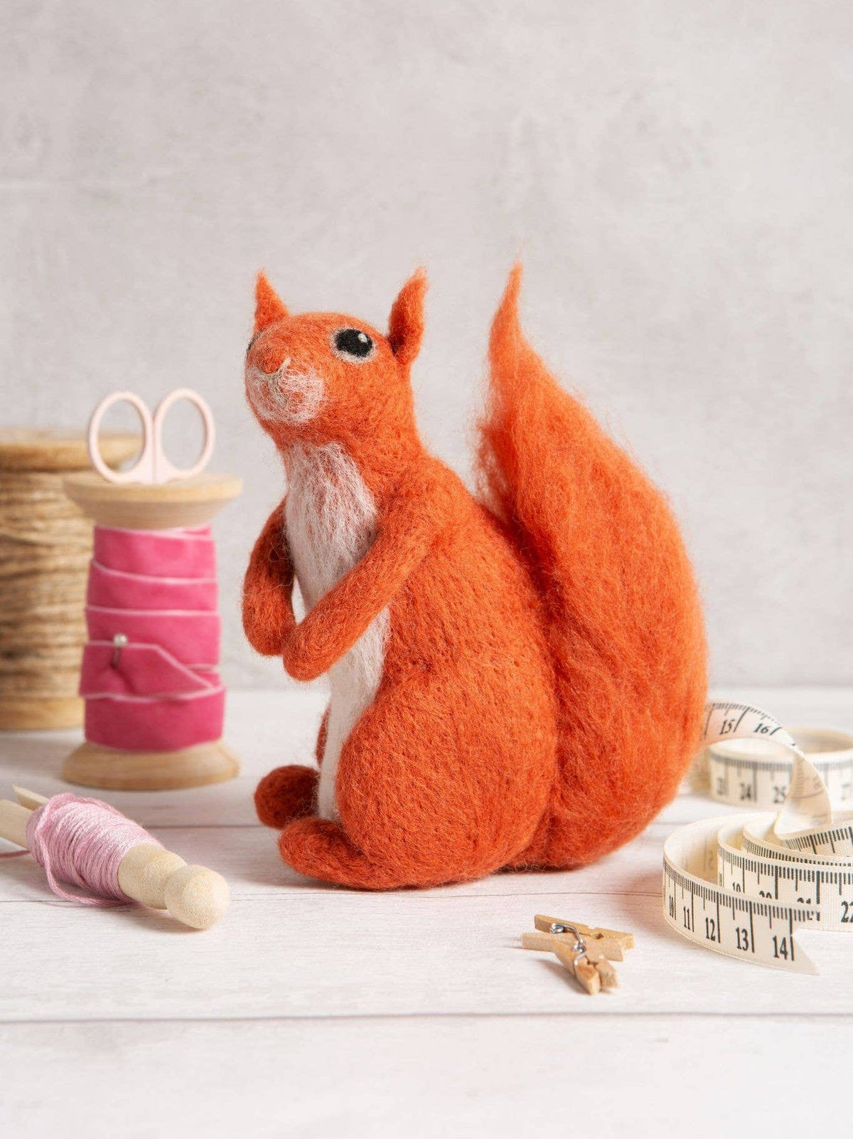 Hawthorn Handmade Needle Felting Kit Beginner Red Squirrel Needle Felting Craft Kit
