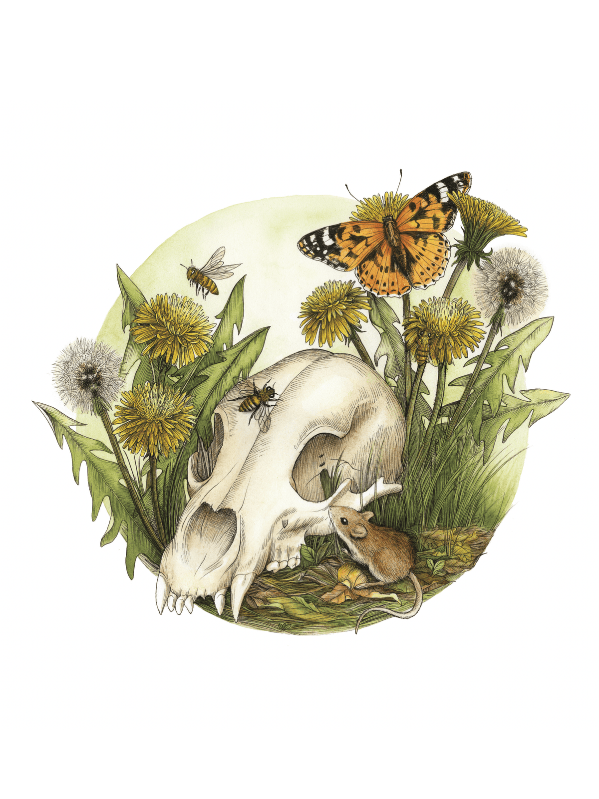 The Watercolor Bear Skull with Dandelions Art Print by Kyla Rae Design (11 x 11) features a bear skull surrounded by dandelions, insects, and a mouse—perfect as unique nature-inspired wall decor.