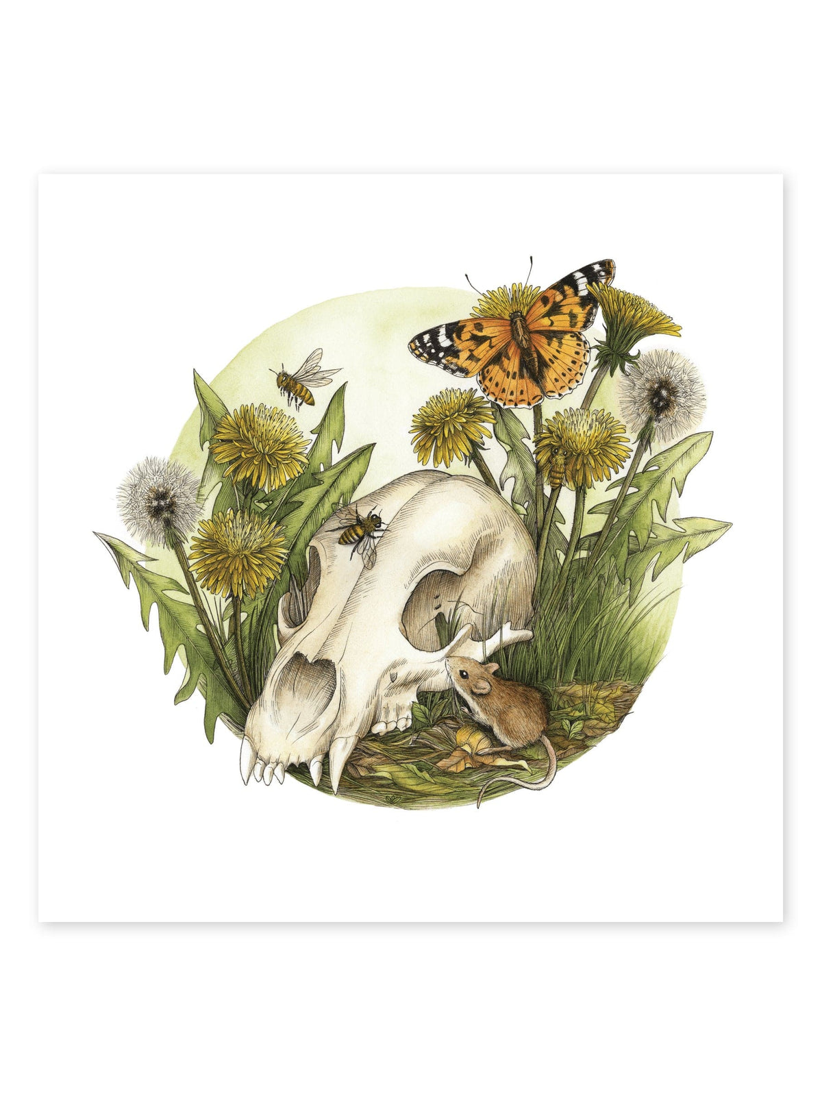 The Watercolor Bear Skull with Dandelions Art Print by Kyla Rae Design (11 x 11) captures a bear skull amid dandelions, grass, and wildlife—ideal for nature lovers seeking unique wall decor.