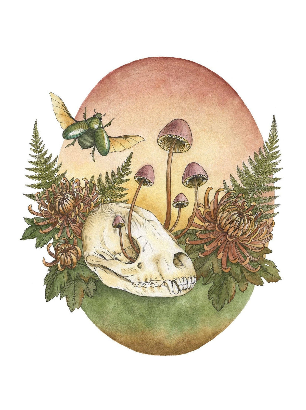 Kyla Rae Design Watercolor Animal Skull With Mushrooms, Flowers, And Ferns , Botanical Illustration Of Ferns, Moth, And Mushrooms, Wall Decor: 8x10