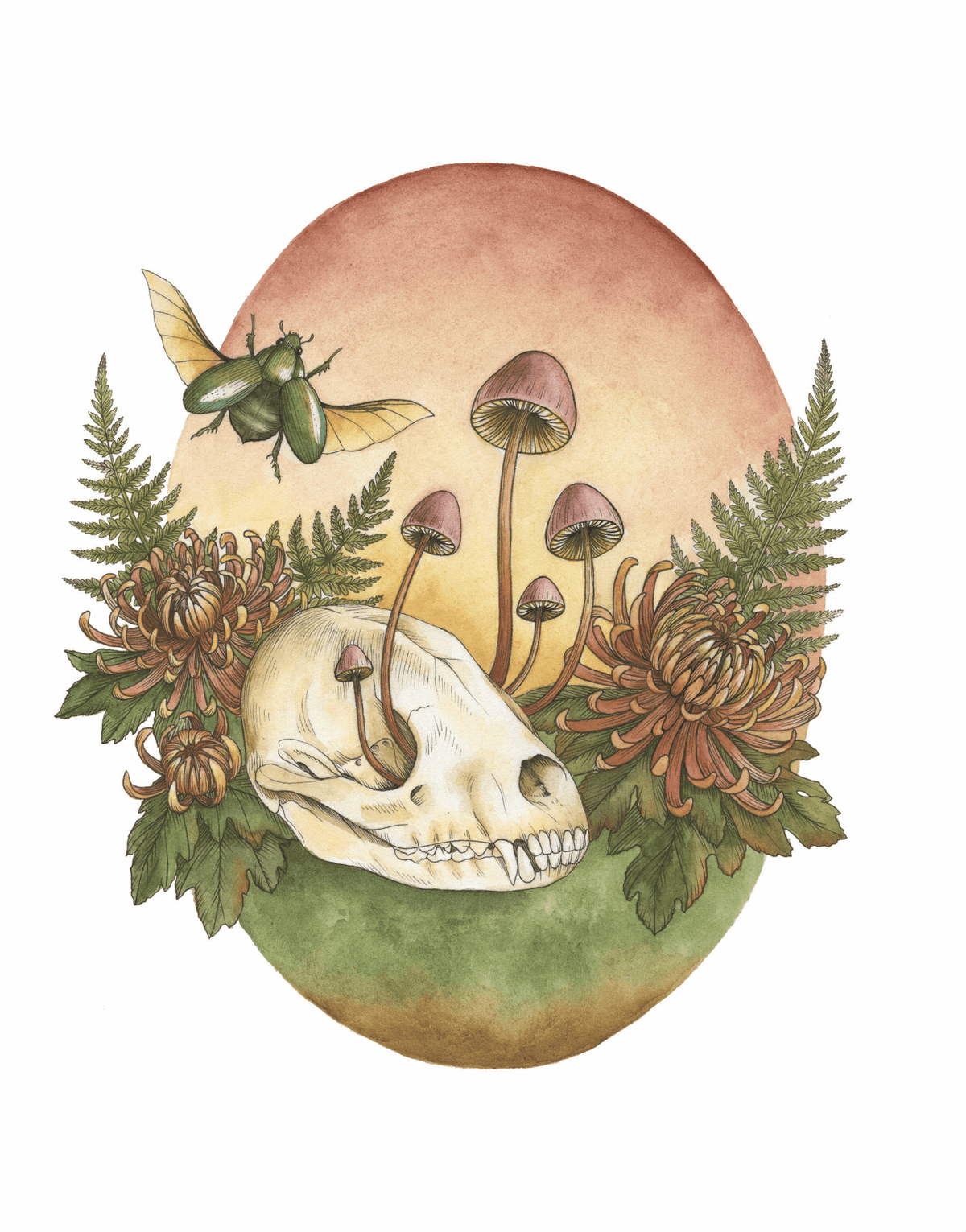 Kyla Rae Design Watercolor Animal Skull With Mushrooms, Flowers, And Ferns , Botanical Illustration Of Ferns, Moth, And Mushrooms, Wall Decor: 8x10