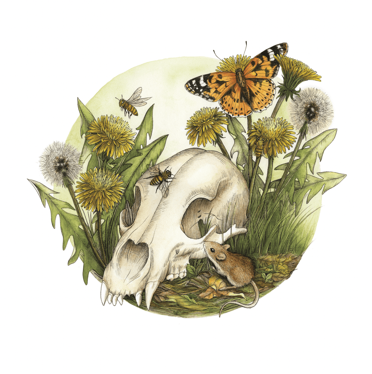 The Watercolor Bear Skull with Dandelions Art Print by Kyla Rae Design depicts a bear skull among dandelions, bees, and an orange butterfly, creating serene nature wall decor. This 11 x 11 print is framed by green leaves and grass.