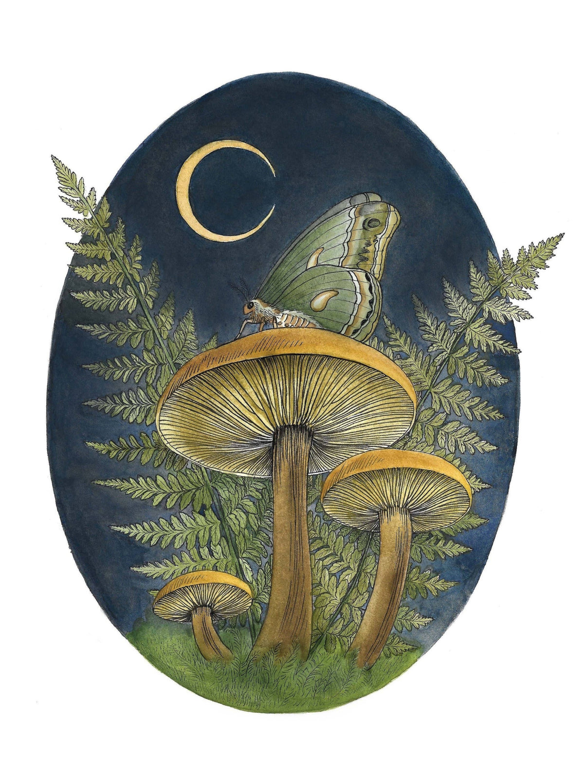 The Watercolor Mushroom Art With Moth and Fern Art Print by Kyla Rae Design (10 x 8) features woodland mushrooms, green ferns, and a moth beneath a crescent moon—perfect witchy decor for any nature lover.