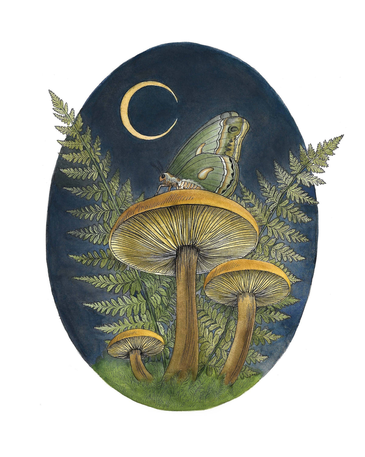 The Watercolor Mushroom Art With Moth and Fern Art Print by Kyla Rae Design (10 x 8) features a mystical scene with mushrooms, ferns, and a moth beneath a crescent moon—perfect wall decor for nature lovers or fans of witchy art.
