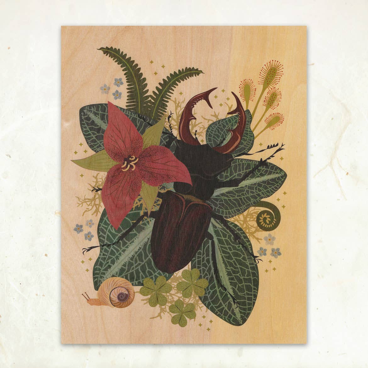 Little Gold Fox Designs Stag Beetle Small Wood Print