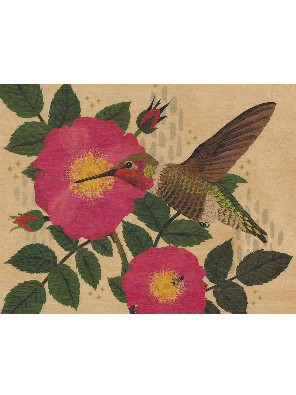 Hummingbird & Wild Rose Small Wood Print