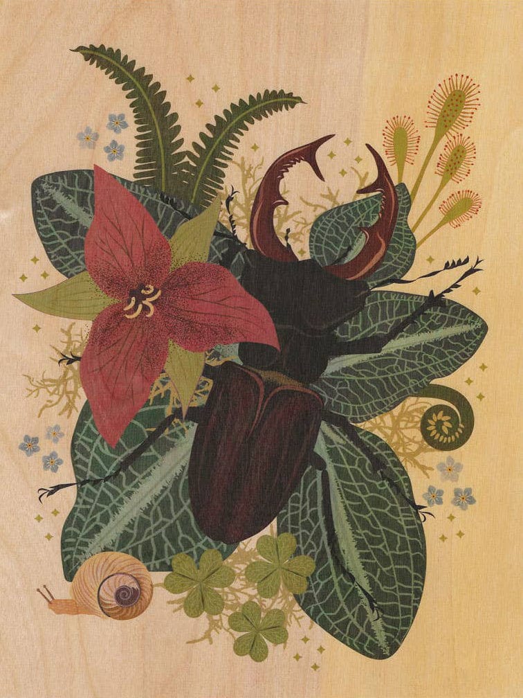 Stag Beetle Small Wood Print, 11" x 8.5"
