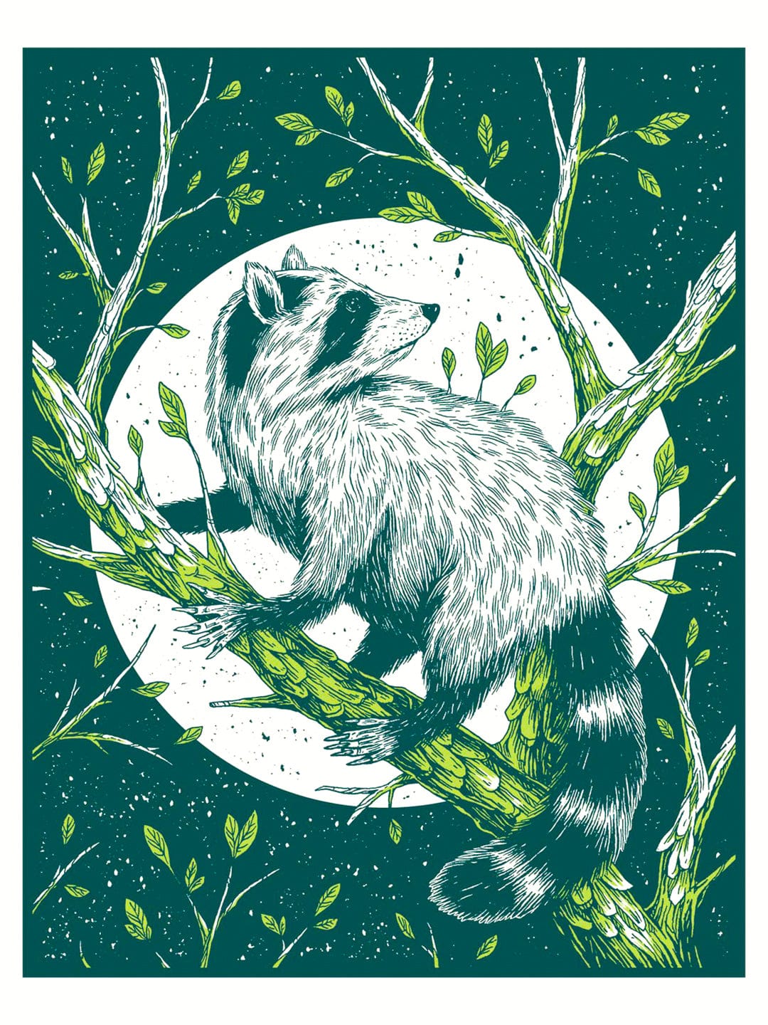 Logan Schmitt Illustration Giclee Print Raccoon Art Print