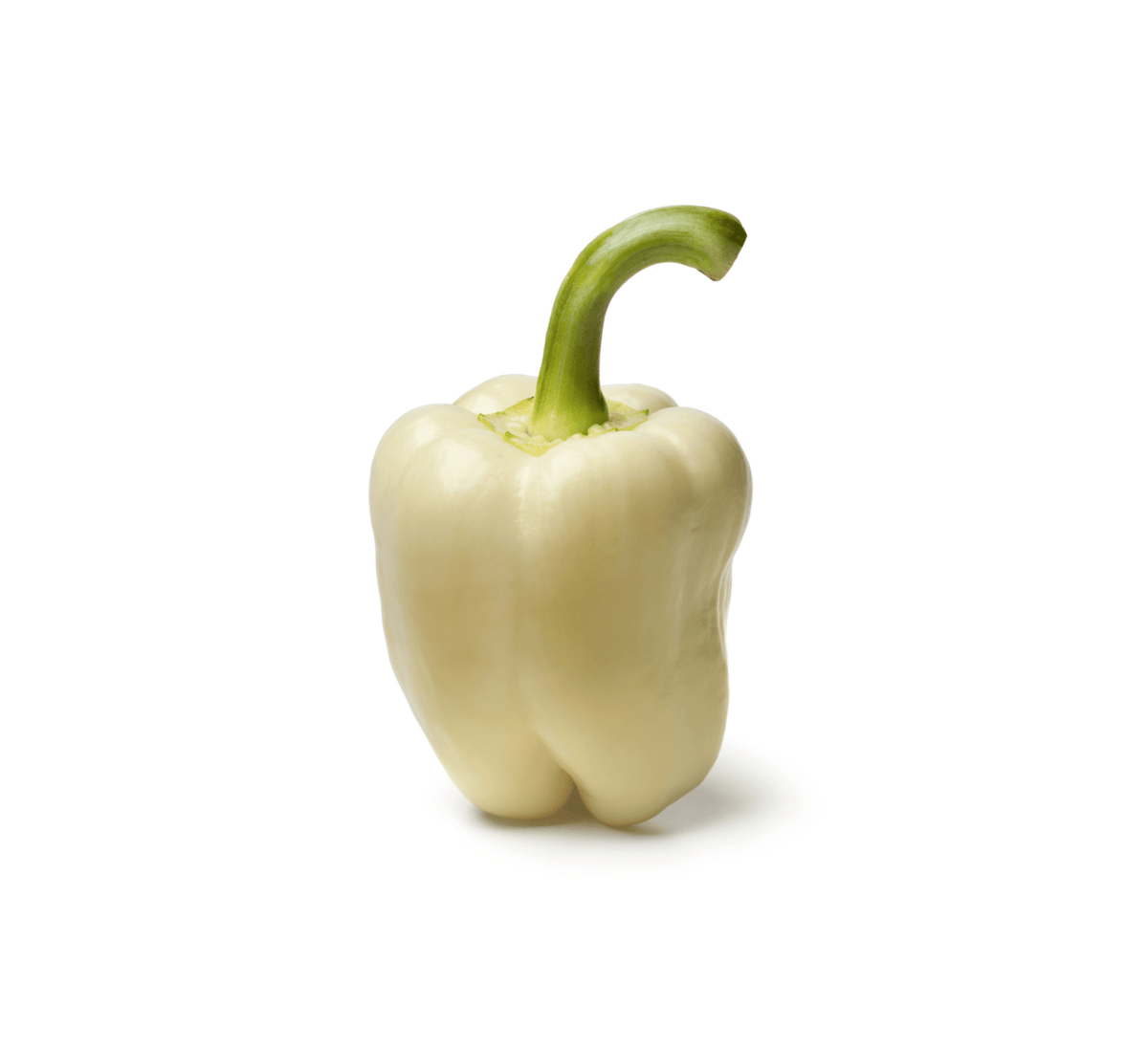 An Albino Bullnose Pepper from Sow the Magic stands upright, pale white with a green stem, on a white background—featured on their Tarot Garden Seed Packet.