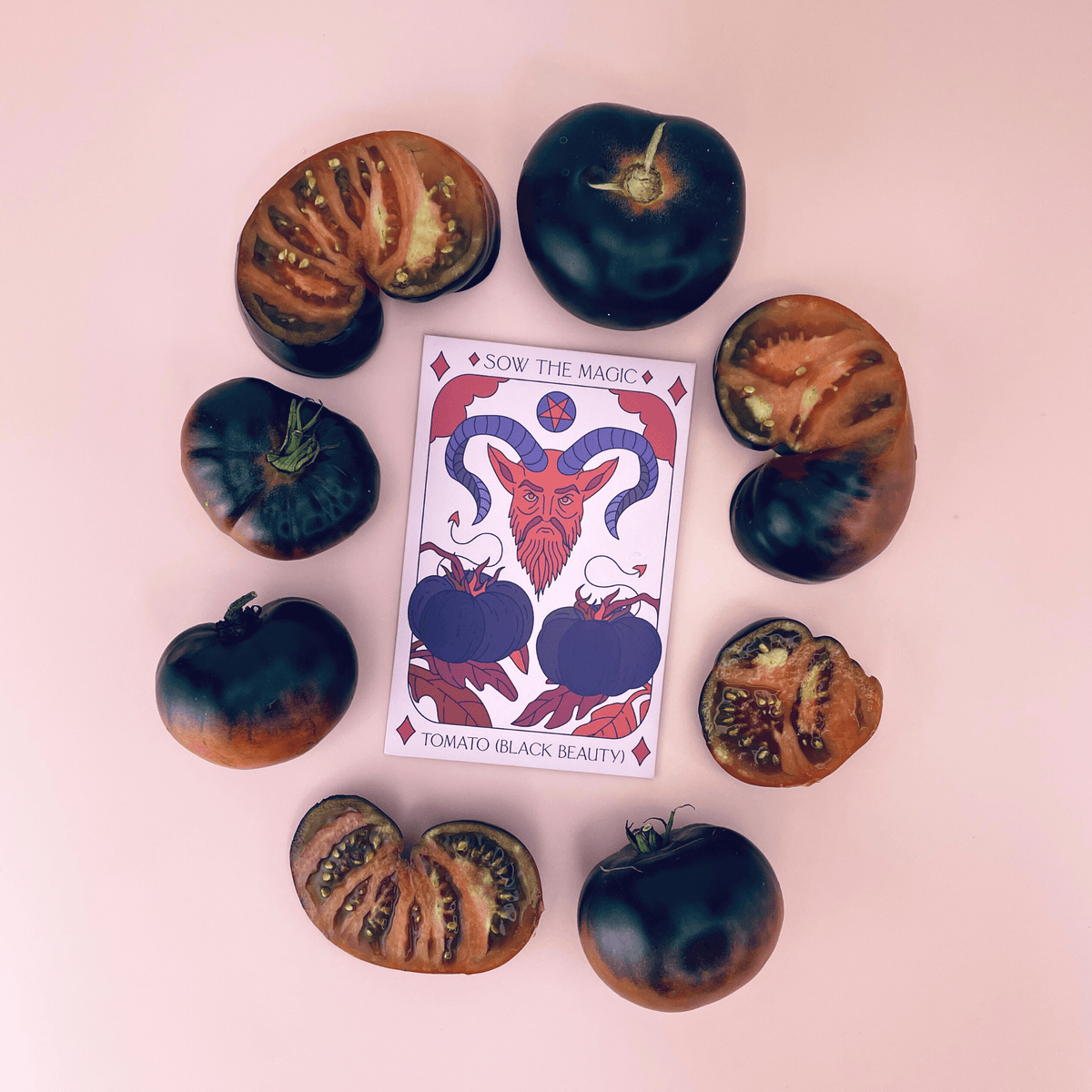 The Sow the Magic Black Beauty Tomato Tarot Garden Seed Packet, featuring an illustrated goat, is displayed among whole and sliced dark purple tomatoes rich in antioxidants, all arranged in a circle on a pale pink background.