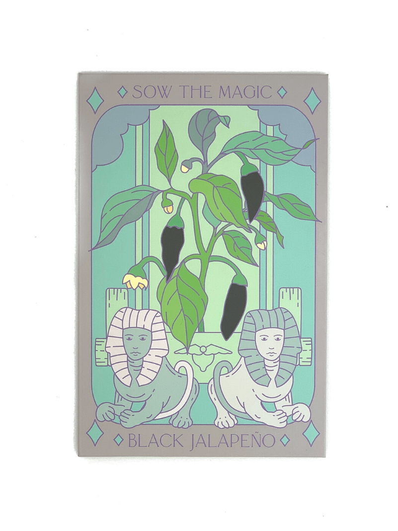 Sow the Magic Black Hungarian Jalapeño Tarot Garden Seed Packet