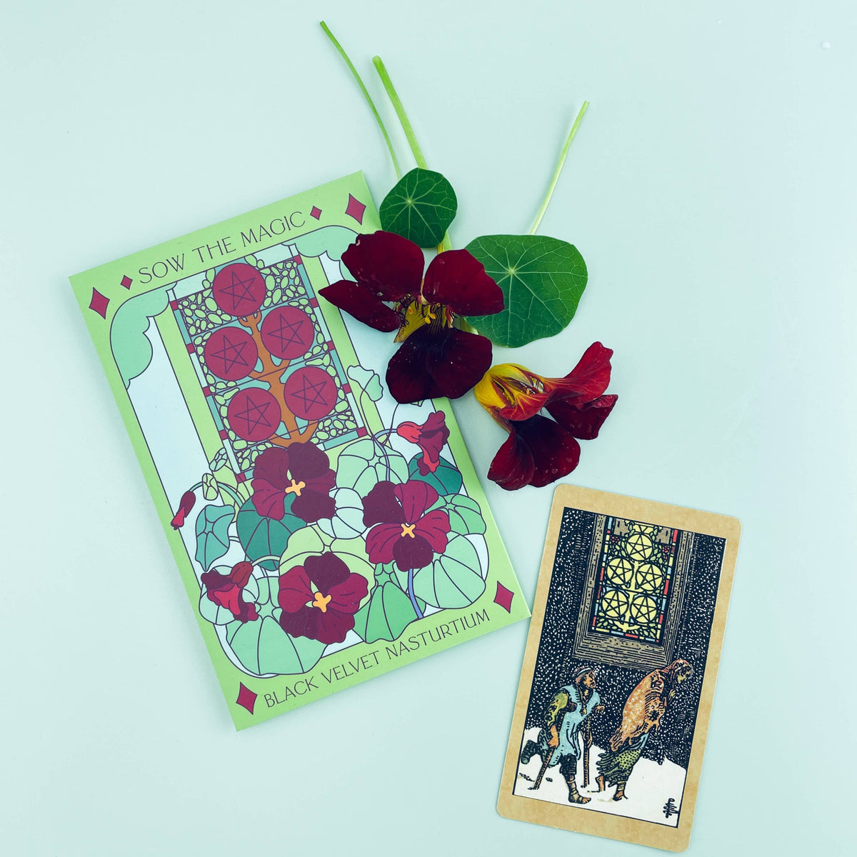 The Black Velvet Nasturtium Tarot Garden Seed Packet by Sow the Magic features organic seeds, floral illustrations, edible flowers and leaves, and a tarot card with two figures outside a stained-glass window, all set on a light background.