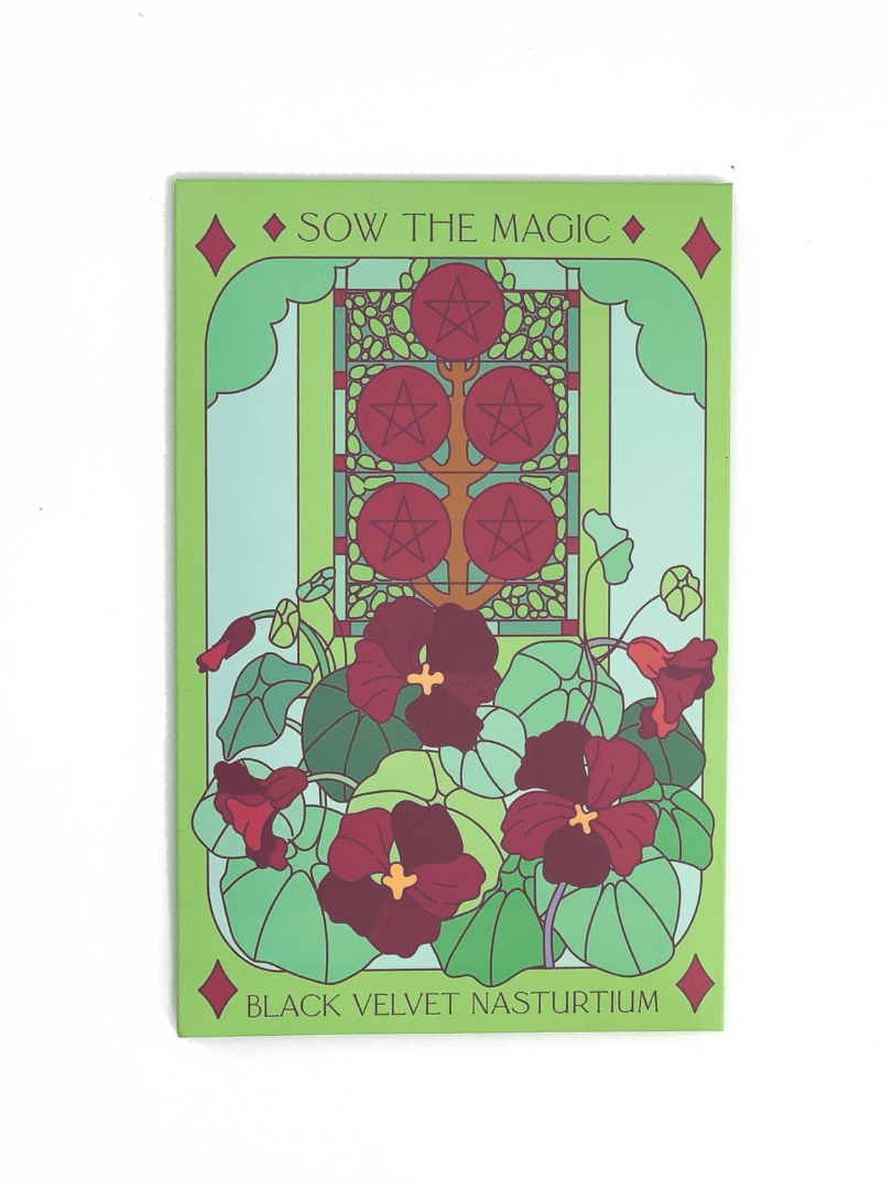 A vibrant Black Velvet Nasturtium Tarot Garden Seed Packet by Sow the Magic shows edible flowers and green leaves before a stained glass window with pentacles. Text reads “Sow the Magic” and “Black Velvet Nasturtium organic seeds.”.
