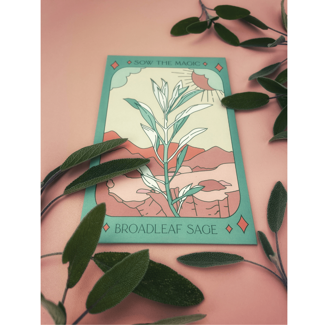 A vibrant Broadleaf Sage Tarot Garden Seed Packet by Sow the Magic is pictured on a pink background with real sage leaves, mountains, and a sun, featuring a colorful Salvia Officinalis illustration.