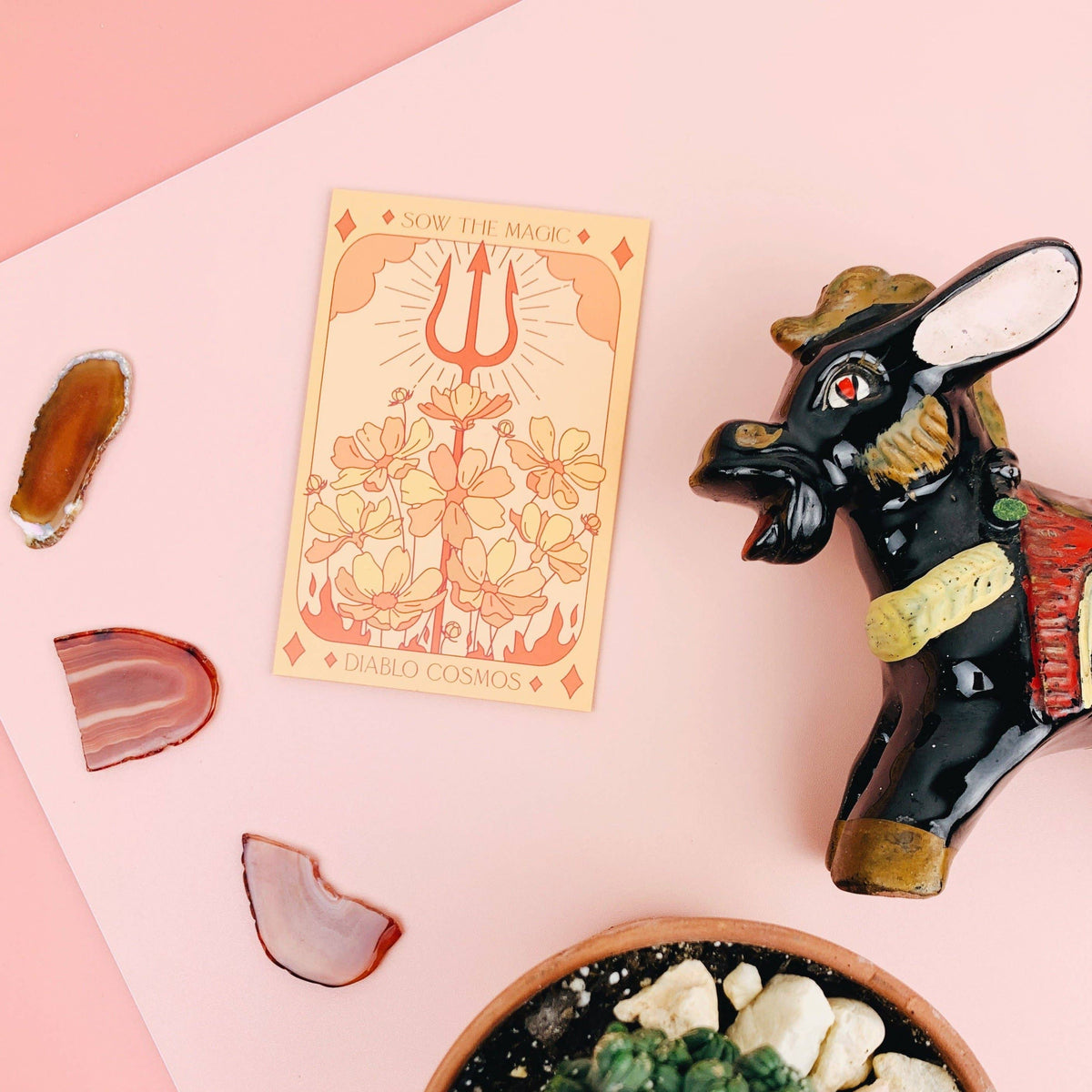 Sow the Magic Diablo Cosmos Tarot Garden + Gift Seed Packet