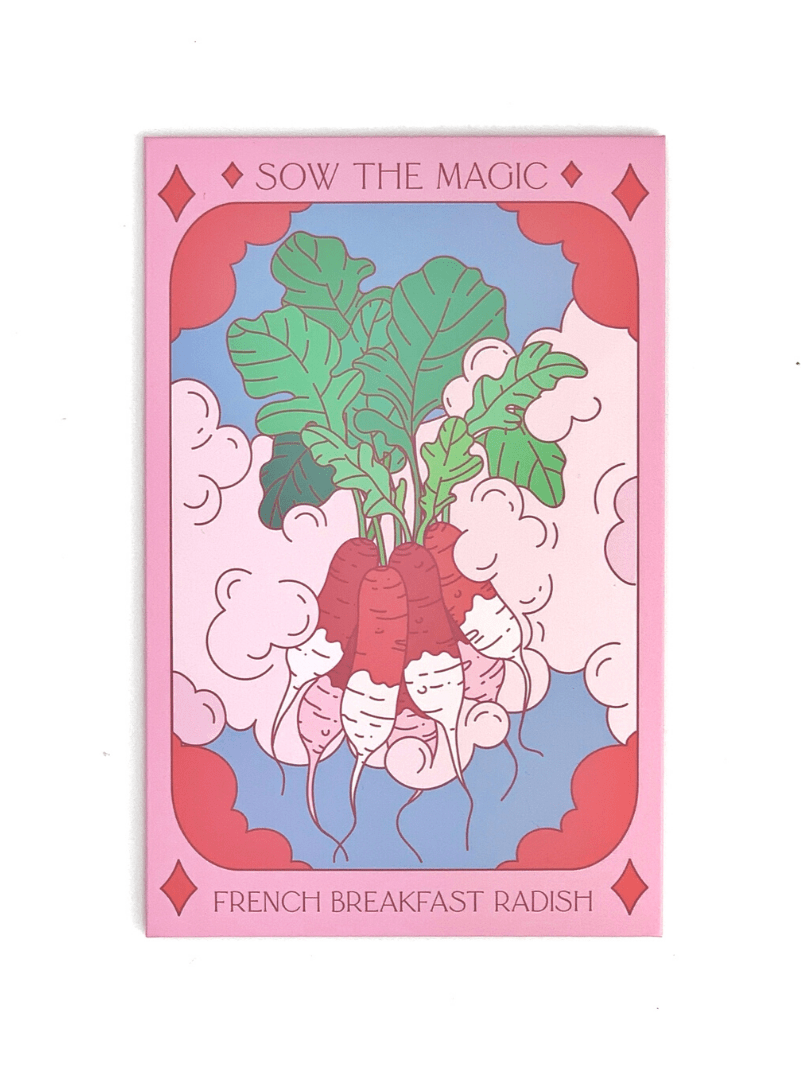 The French Breakfast Radish Tarot Garden Seed Packet by Sow the Magic features an illustration of French radishes with green leaves, pink clouds, a pink border, and highlights its Non-GMO seeds.