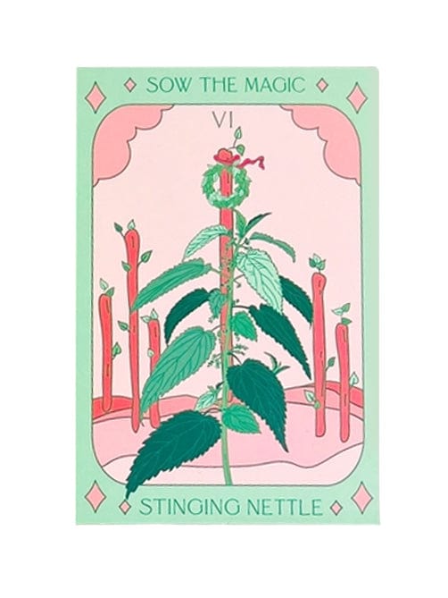 The Sow the Magic Stinging Nettle Tarot Garden Seed Packet features a tarot-style illustration of Urtica Dioica with serrated leaves, a red snake near the top, and VI above, celebrating this potent medicinal herb.