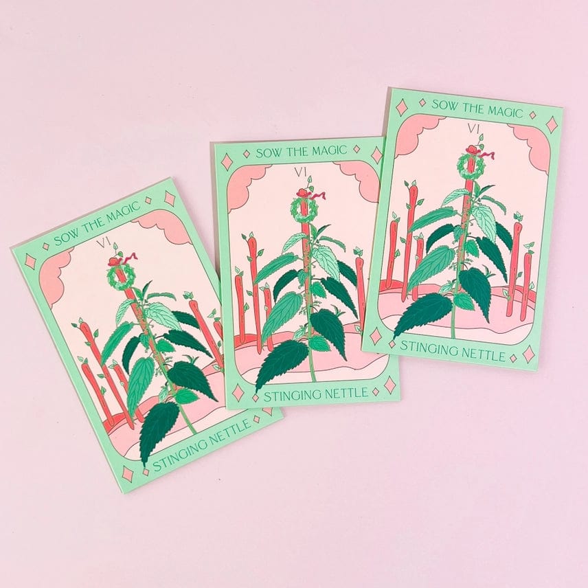 Three Sow the Magic Stinging Nettle Tarot Garden Seed Packets are arranged on a light pink background, each featuring an illustration of Urtica Dioica, a tall green medicinal herb with numerous uses.