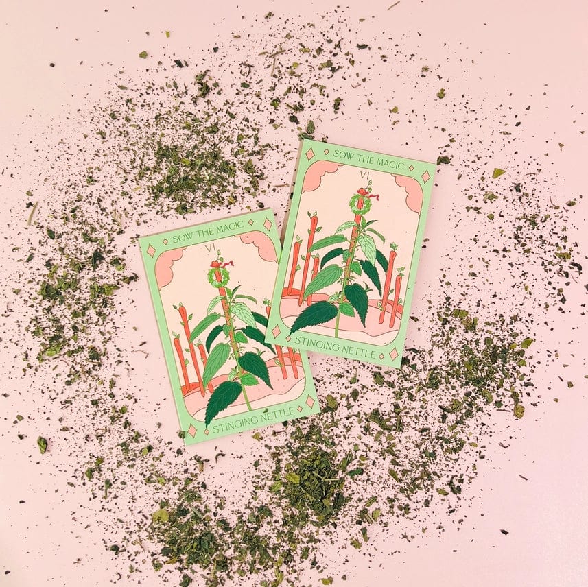 Two illustrated Stinging Nettle Tarot Garden Seed Packets from Sow the Magic, featuring nettle plant drawings and pastel borders, rest on a pale pink surface surrounded by scattered dried green herbs.