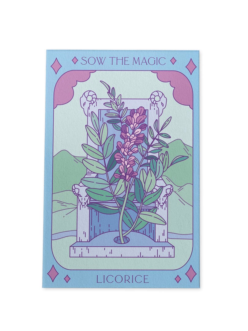 The Licorice Tarot Garden Seed Packet by Sow the Magic features Glycyrrhiza glabra, a medicinal herb with purple flowers and green leaves, thriving in a scenic garden setting.