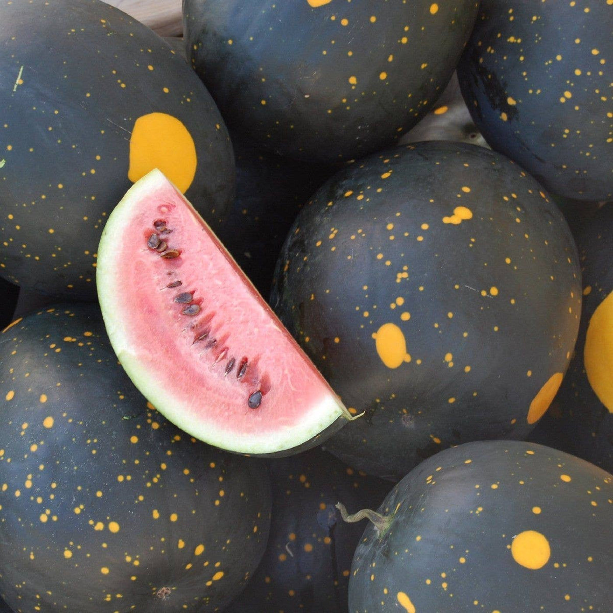 Sow the Magic Moon and Stars Watermelon Tarot Garden + Gift Seed Packet