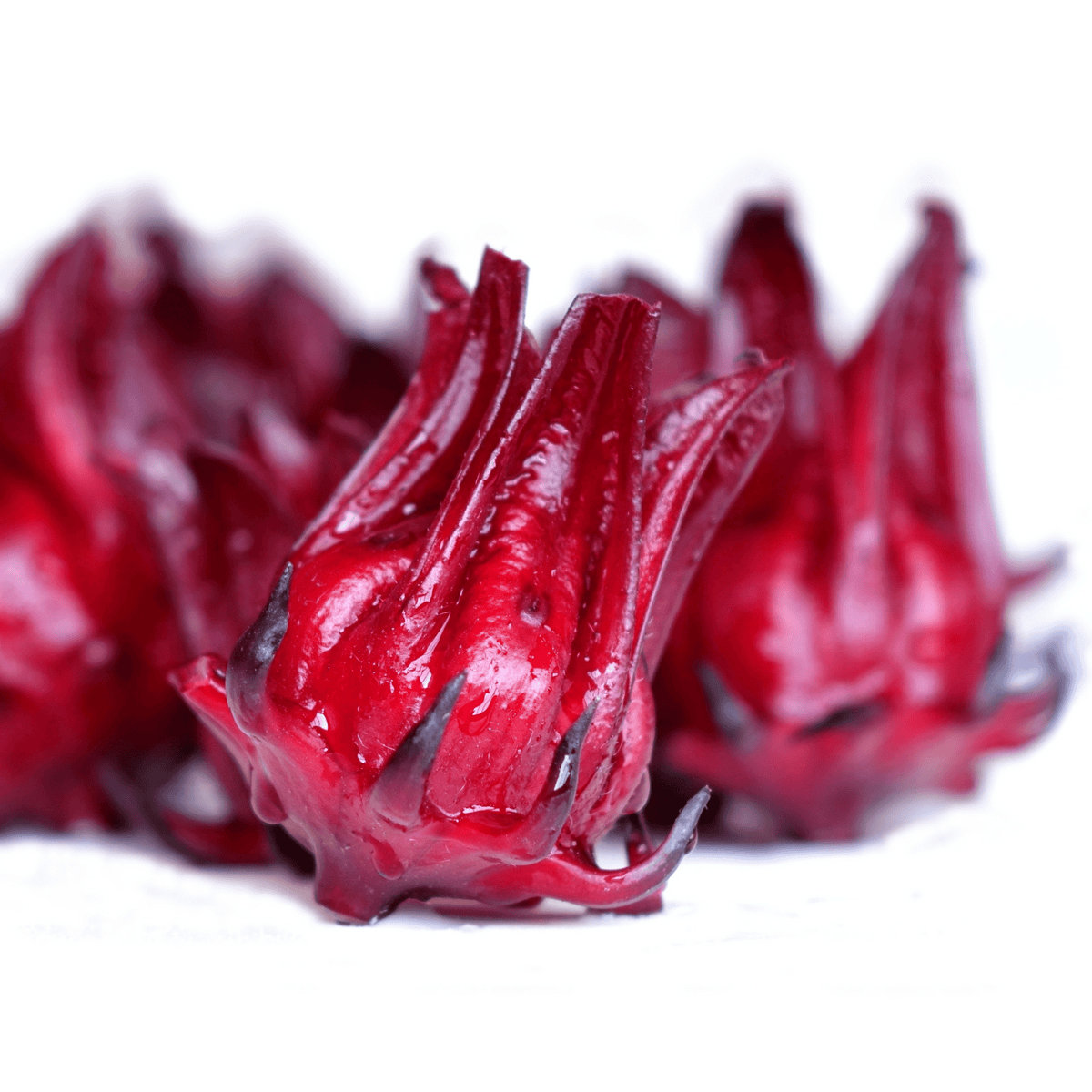 Sow the Magic Thai Red Roselle Hibiscus Tarot Garden + Gift Seed Packet