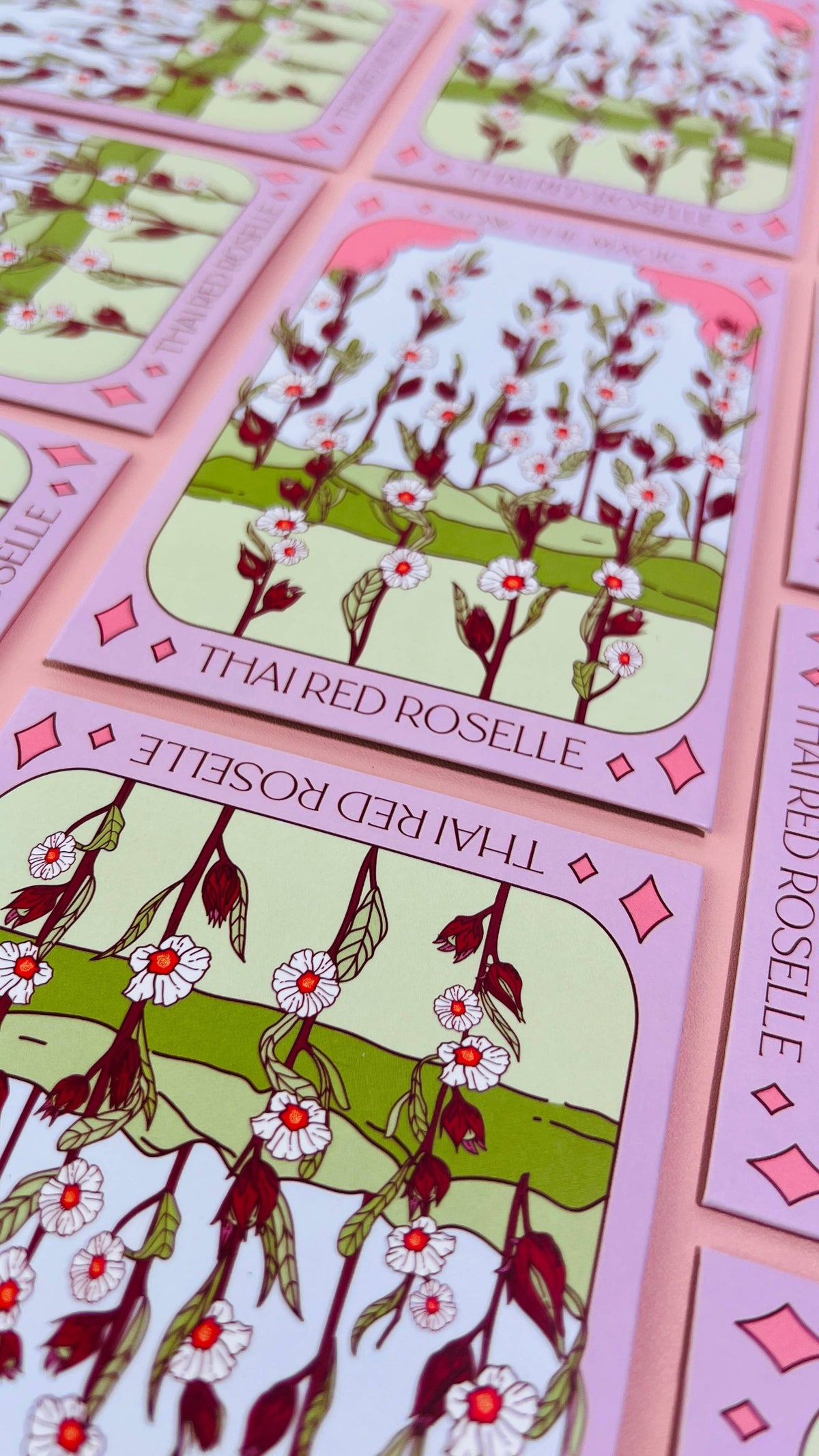 Sow the Magic Thai Red Roselle Hibiscus Tarot Garden + Gift Seed Packet