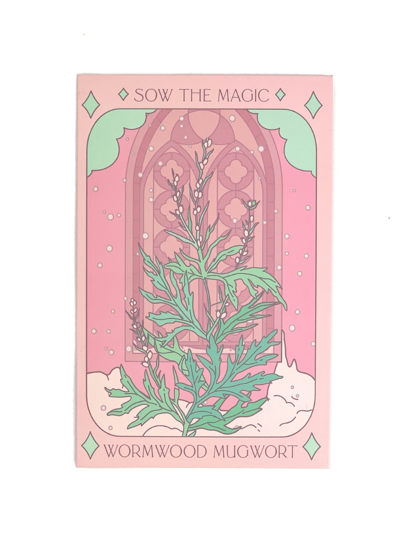 The Wormwood Mugwort Tarot Garden Seed Packet by Sow the Magic features a green Artemisia Vulgaris on a pink background with decorative arches for a mystical vibe. Non-GMO seeds included.