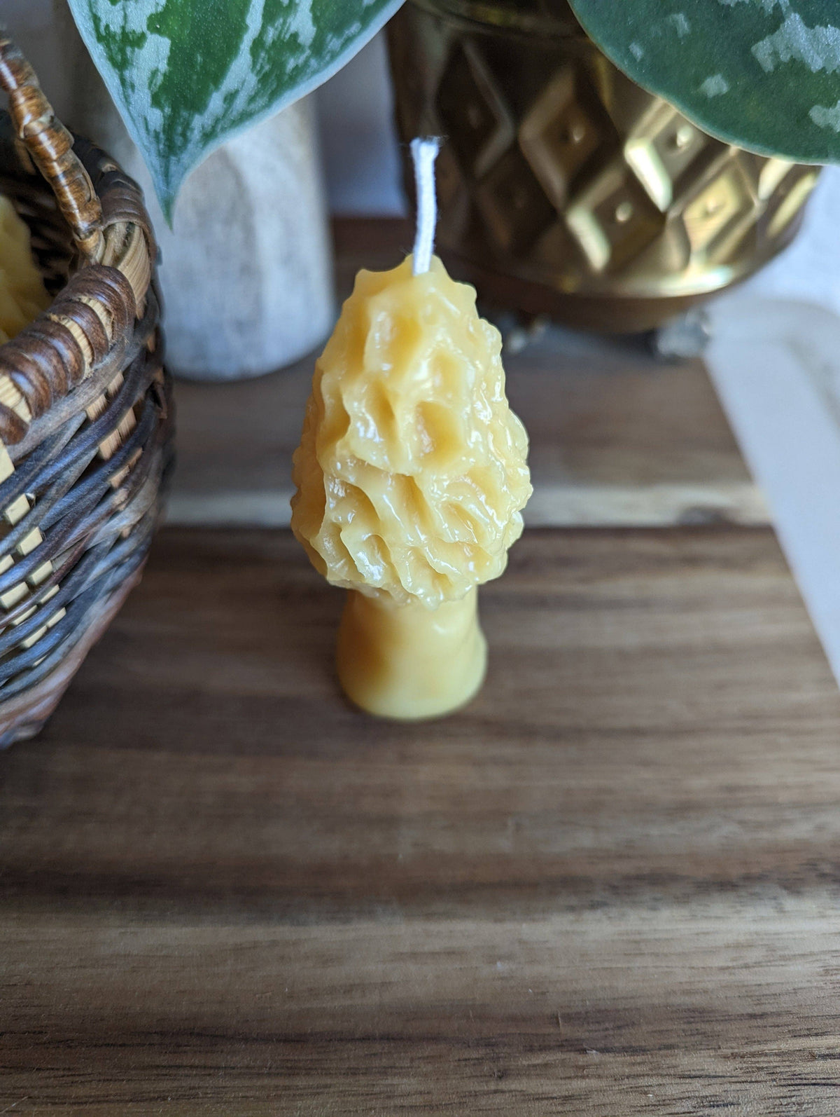 The Ramblin Bees Mini Morel Mushroom Beeswax Candle, shaped like a morel, rests on wood near a wicker basket and gold plant pot with greenery. This charming candle arrives in eco-friendly packaging.