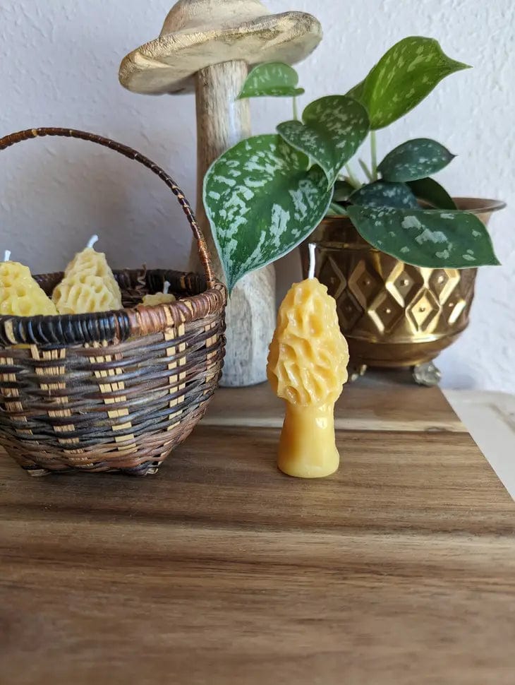 The Ramblin Bee Mini Morel Mushroom Beeswax Candle, in yellow, stands on a wooden surface near a basket of similar candles, a ceramic mushroom ornament, and a potted plant with variegated leaves. Eco-friendly packaging included.