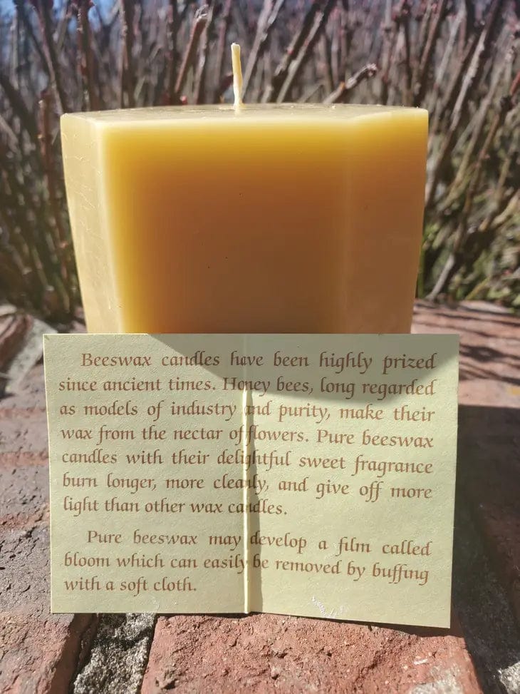 The Ramblin' Bee Candles Morel Mushroom Beeswax Candle